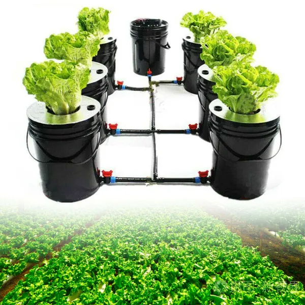 6 Pots Hydroponic Grow DWC System Deep Water Recirculating Culture Plants Growing System Kit 20L 5 Gallon